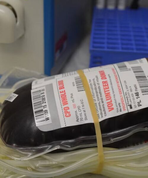 Migrantes perseguidos venden su sangre y hacen crecer un fabuloso negocio en EE UU