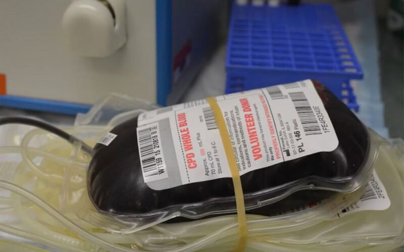 Migrantes perseguidos venden su sangre y hacen crecer un fabuloso negocio en EE UU