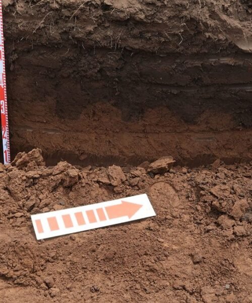 “Ya no somos familiares de desaparecidos”: se dieron a conocer los nombres de las personas identificadas en La Perla