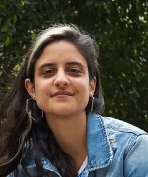 Cerca de 90 mil personas ya se anotaron para participar de la audiencia pública sobre la ley de glaciares