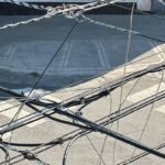 Como rata por tirante en su maraña