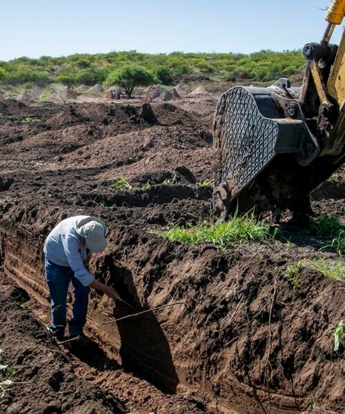 Dan a conocer nuevas identificaciones de restos de desaparecidos en La Perla