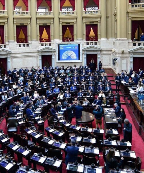 El oficialismo logró aprobar la Ley Hojarasca en Diputados