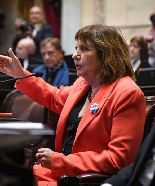 Pese a la resistencia de la Casa Rosada, el Senado aprobó el pliego de Verónica Michelli que quería frenar Milei
