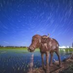 Cosecharás tu otra siembra: la China rural también cobra entradas