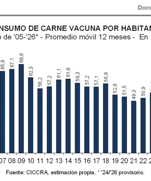 ¿Consumo en niveles récord? La carne vacuna registró una caída de más del 11% en el primer semestre