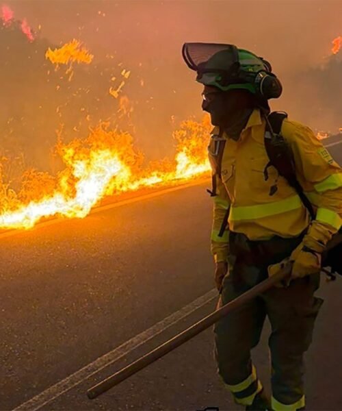 Incendios forestales en el verano europeo más caluroso de la historia