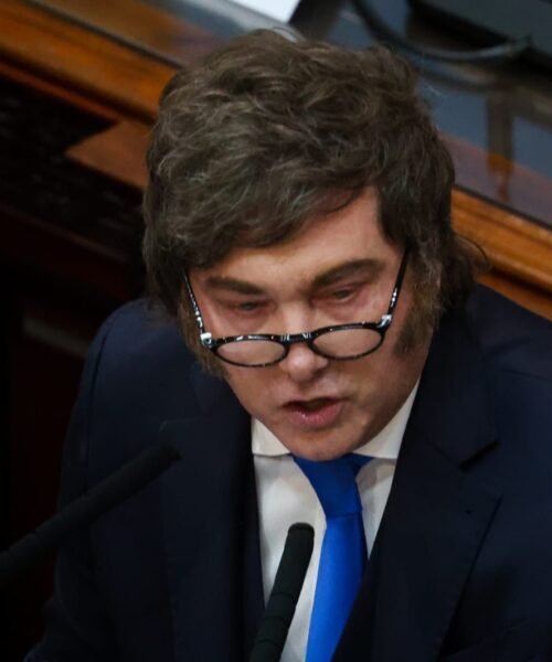 Milei eliminó la denominación «Día de las infancias» y reimpuso por decreto el «Día del Niño»