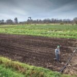 Cooperativas Federadas: Del rechazo a la extranjerización al debate por un nuevo modelo rural
