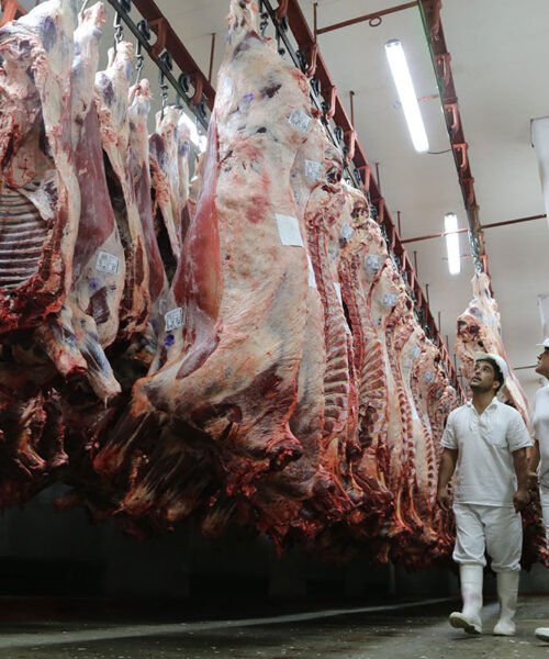 El libre mercado pide la hora: Trump, Putin, los suizos y Carne para Todos