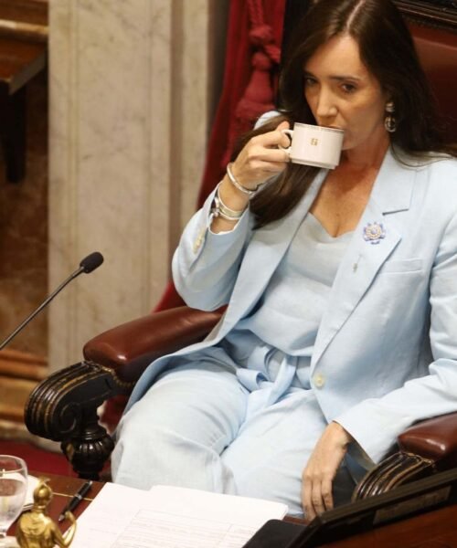La ironía de Villarruel contra Cerimedo: «Qué mal envejeció todo»