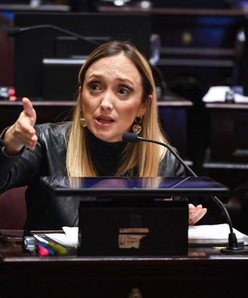 La trastienda de la derrota de Sturzenegger y su proyecto de extranjerización de tierras en el Senado