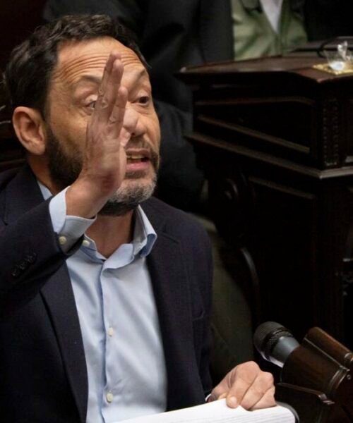 El oficialismo logró dictamen para anular el artículo 154 del DNU 70 y reponer la Ley de Tierras de Cristina