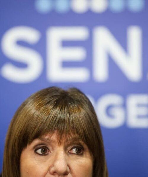 En el Senado, el oficialismo avanza con la ley de patentes y enfría las PASO