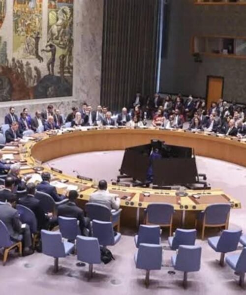África reclama dos asientos en el Consejo de Seguridad de la ONU