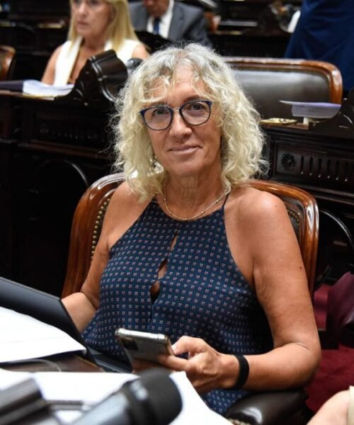 Diputados opositores sostienen que el mileísmo quiere «cajonear» el proyecto sobre endeudamiento familiar